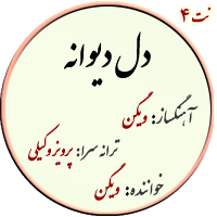 نت4. دل دیوانه