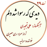 نت29. دیدی که رسوا شد دلم