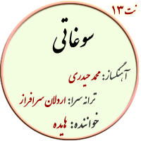 نت13. سوغاتی