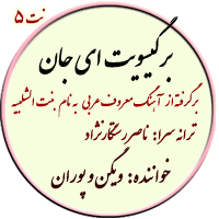 نت5. شانه