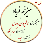 نت3. میزنم فریاد