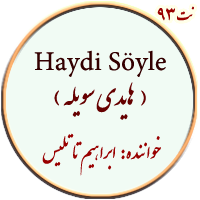 نت 93. هایدی سویله