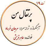 نت19. پرتقال من
