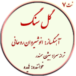 نت 7. گل سنگم